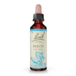 Bach Original Beech 20ml