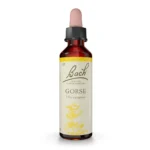 Bach Original Gorse 20ml